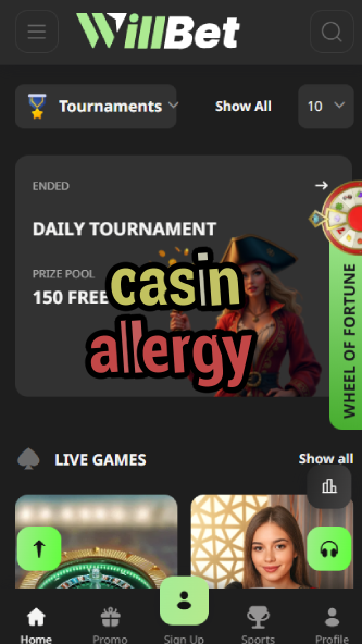 Casin Allergy - Hypoallergenic Casino Experience-bgocasinouk.ydblkf.net
