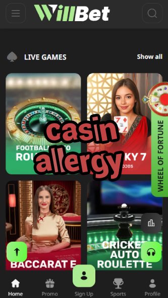 Casin Allergy - Hypoallergenic Casino Experience-bgocasinouk.ydblkf.net